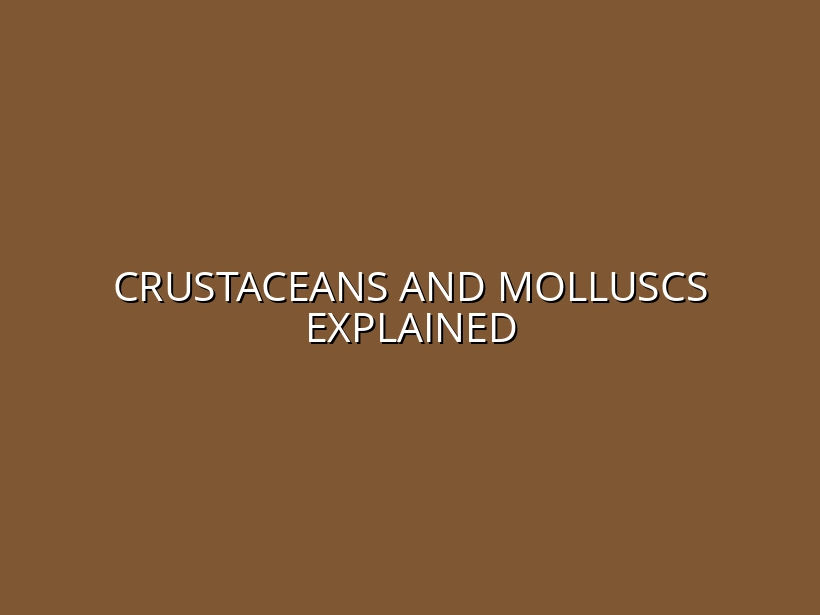 Crustaceans and Molluscs Explained